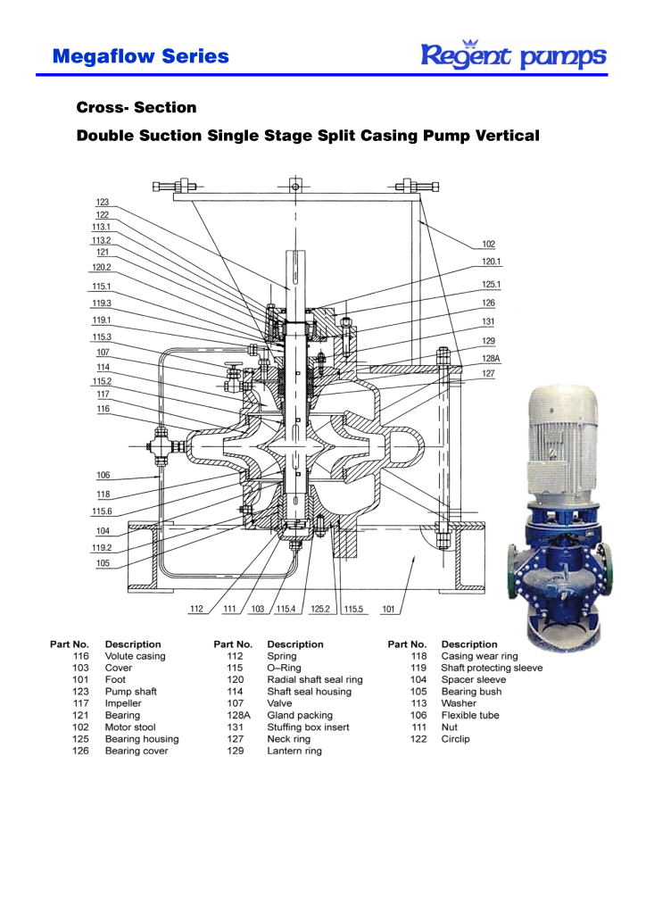 Megaflow Series Horizontal (Vertical) Split Pump - richrise