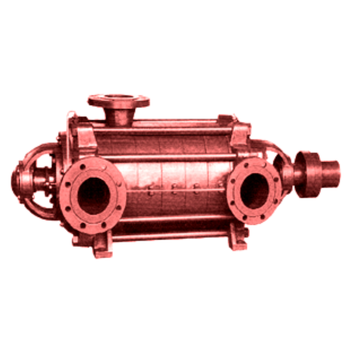RPTS Series  Multistage Pumps